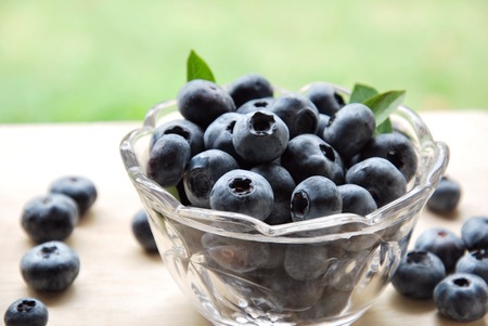 blueberryの写真素材