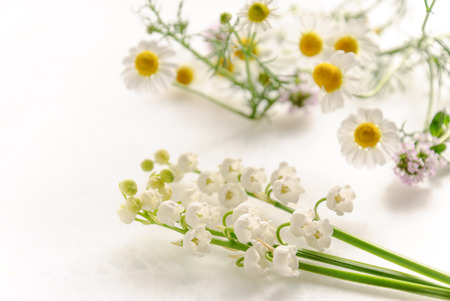 lily of the valley and chamomile on white backgroundの写真素材