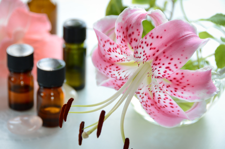 pink lily and essential oilsの写真素材