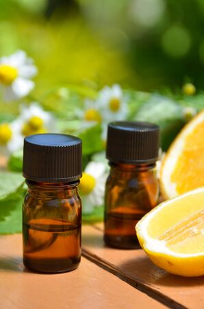 essential oils with herbs and fruitsの写真素材