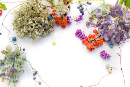 background frame with autumn plants leaves, seeds, and berries.