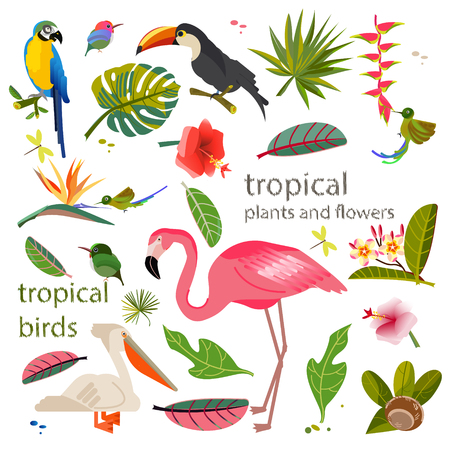 Tropical flowers and leaves. Exotic birds. Caribbean colors. Design and pattern. Tropical style. Summer vacation at the sea. Fruits and Beverages. Frame Template. Flamingo, toucan and colibriのイラスト素材