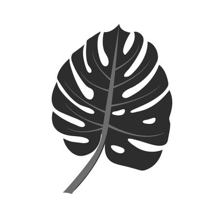 Tropical leaf of Monstera or palm plant isolated on white background. Vector illustrationのイラスト素材