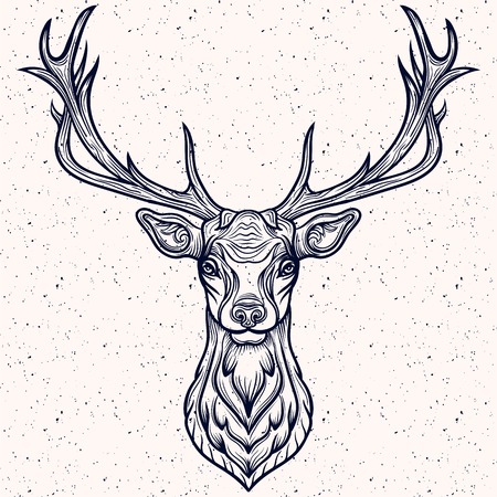 Vector Illustration of a Whitetail Deer Head.のイラスト素材