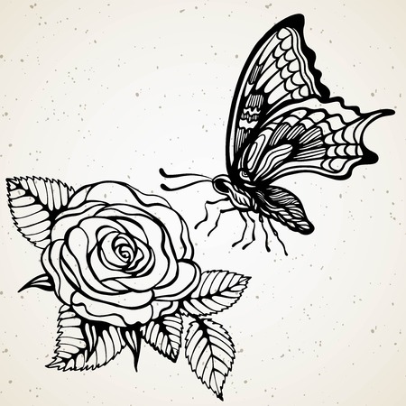 Hand-draw butterfly with rose flower on a white vintage background. Vector illustration. Place for your text. Hand drawn line art elegance tattooのイラスト素材