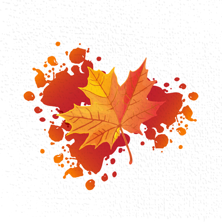 Autumn leaf. Autumn maple leaf isolated on a white background. Vector illustrationのイラスト素材