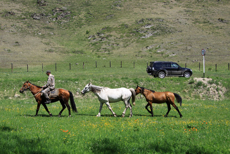 ALTAI, RUSSIA - JUNE 10, 2012: Tree horses with a horseman on one of the horses as opposed to a big car on a roadのeditorial素材