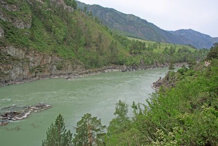 SIBERIA, RUSSIA - JUNE 11, 2012: Mountain river Katun, Altai mountains, Russiaのeditorial素材