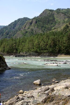 SIBERIA, RUSSIA - JUNE 11, 2012: Mountain river Katun, Altai mountains, Russiaのeditorial素材