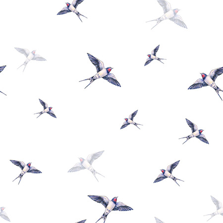 Beautiful swallow on a white background. Watercolor illustration. Spring bird brings love. Handwork....