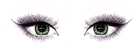 Beautiful open female eyes with long eyelashes is isolated on a white background. Makeup template illustration. Color sketch felt-tip pens. Handwork. Fast schematic drawingの写真素材