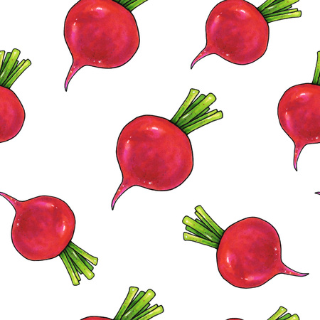 Radish on a white background. Color drawing markers. Agricultural vegetable. Seamless patternの写真素材