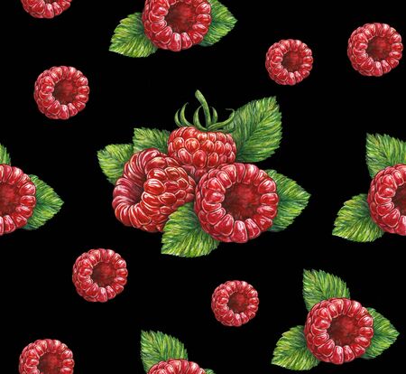 Forest raspberry isolated on black background. Watercolor drawing. Handwork. Seamless pattern for designの写真素材