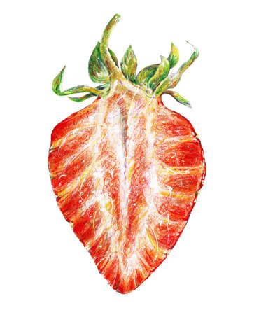 Red ripe strawberries isolated on a white background. Watercolor drawing of strawberry berries. Handwork drawn.の写真素材