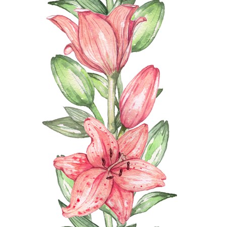 Lily 3. Watercolor paintingの写真素材