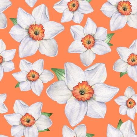 Daffodils - Seamless pattern 5. Watercolor illustration. Hand-drawing. Backgroundの写真素材