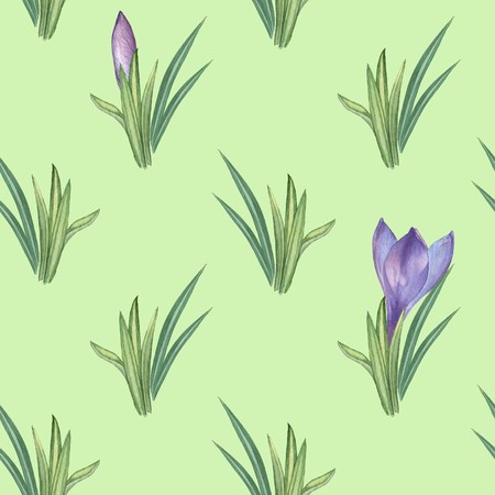 Herbal bushes and crocuses 2. Watercolor illustration. Hand-drawing. Seamless patternの写真素材