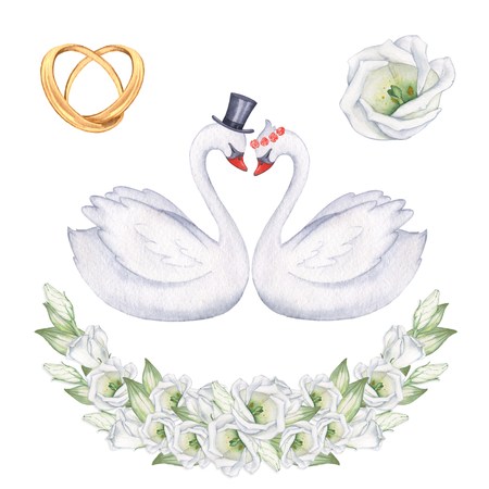 Swans. Set to create wedding cards, invitations, posters. Watercolor illustration, hand-drawing. Isolated on whiteの写真素材