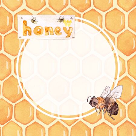 Bee honeycombs. Watercolor background for creating signage, posters, business cards. Hand drawingの写真素材