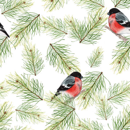 Christmas seamless pattern with bullfinches and fir branches 2. Handmade drawing. For registration of festive cards, wrapping paper, packagingの写真素材