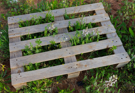 wooden tray on green grass with flowersの写真素材
