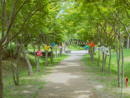 A walkway in a park with colorful pinwheel windmillsの写真素材