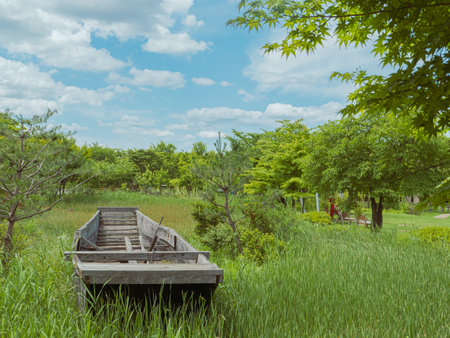 Wooden boat in the green meadow with blue sky background.の写真素材