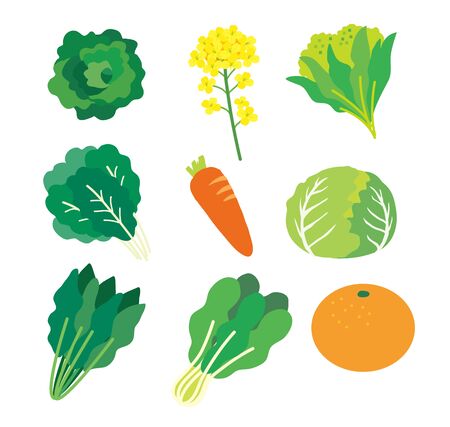 Vegetablesの写真素材