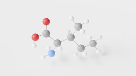 isoleucine molecule 3d, molecular structure, ball and stick model, structural chemical formula alpha-amino acidの写真素材