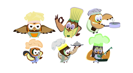 Funny owls, set on a chef theme, on an isolated background, vectorのイラスト素材