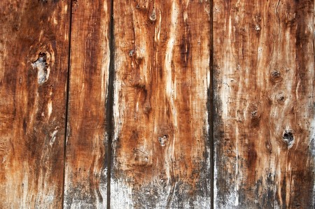 wood door, texture of real woodの写真素材