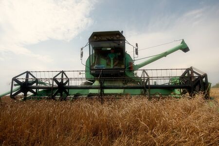 One Combine Harvesting Wheatの写真素材