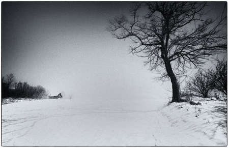 Winterの写真素材