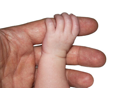 Baby hand gently holding adultの写真素材
