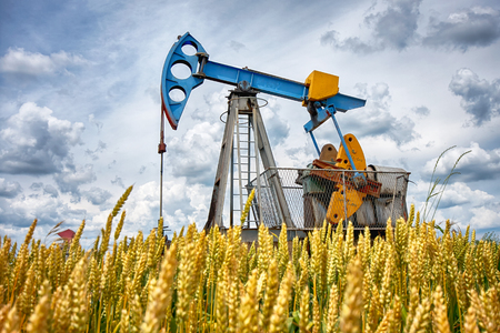 Oil pump in wheat, oil industry equipmentの写真素材