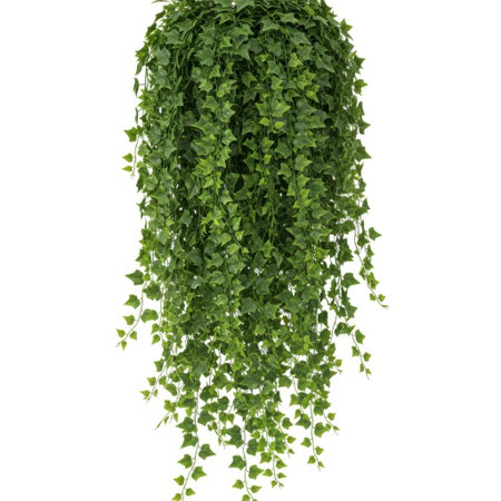 A vibrant cascade of lush green pothos leaves spills downwards, creating a natural, hanging display of abundant foliage and verdant beauty. Perfect for indoor decor.の素材
