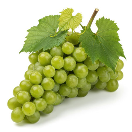 A close-up of a bunch of vibrant green grapes, complete with a stem and fresh leaves. These healthy organic fruits are ready to be enjoyed.の素材