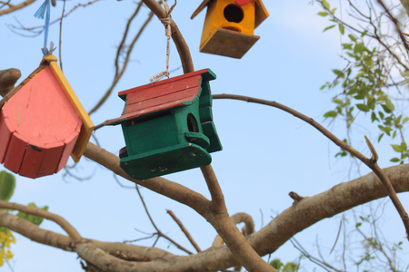 A Bird's House on a Tree a Tiny handmade house or shelter for Little Birds. protecting them from Hot Summer and Cold Winter.の写真素材