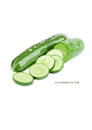 Gherkin vector illustrationのイラスト素材