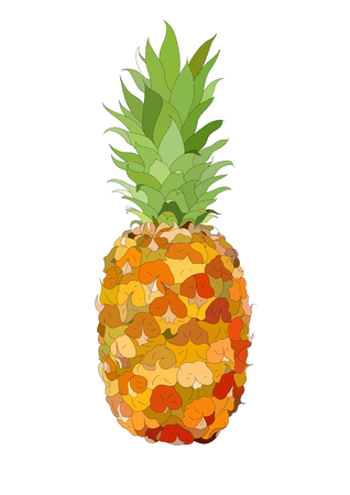 Bromeliad vector illustrationのイラスト素材