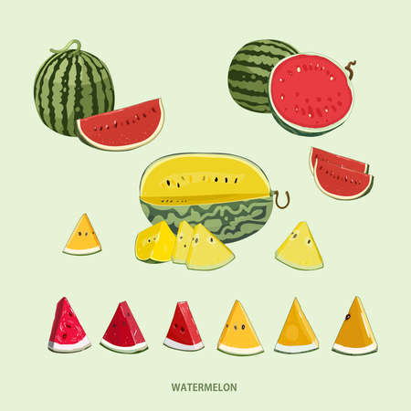 Hand drawn yellow watermelon, red watermelon, slice illustration vector illustrationのイラスト素材