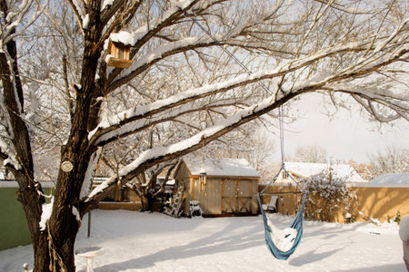 White Snow in Backyardの写真素材