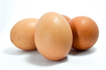 egg