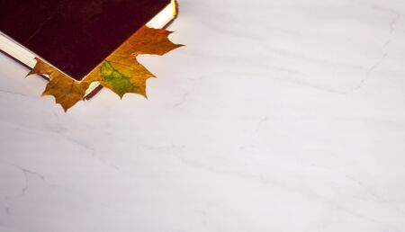 An old worn book of Burgundy with a bookmark of yellow autumn maple leaf lies on a white marble...