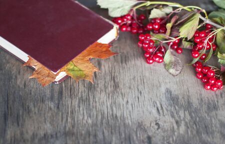 An old worn book with a bookmark of dry yellow maple leaf lies on a gray old worn rustic table