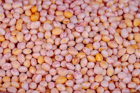 Lima beans texture background from the top view. Healthy fresh lima beans in a greenhouse on an organic farm. Royalty high-quality free stock image of beans. Nature photography.の写真素材