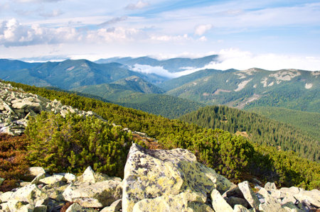 Beautiful landscape of the Carpathian mountains in autumn. Day. Large stones against the hill covered with pine forest, creeping pine and fluffy white cloudsの写真素材