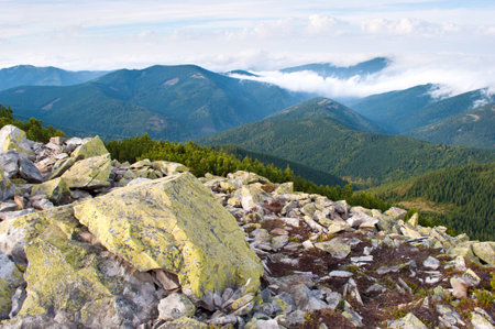 Beautiful landscape of the Carpathian mountains in autumn. Day. Large stones against the hill covered with pine forest, creeping pine and fluffy white cloudsの写真素材
