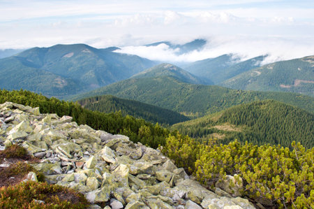 Carpathian mountains in autumn. Day. Stones against the hill covered with pine forest, creeping pine and fluffy white cloudsの写真素材