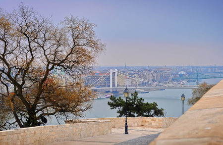 View on the Elisabeth Bridge, river Danube and surrounding houses in Pest on a winter day. Huge leafless tree near an alley leading to the waterfront. Budapestの写真素材